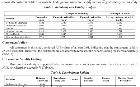Translation and Validation of the Indonesian Version of the Diabetic Foot Ulcer Scale–Short Form (DFS-SF): A Psychometric Evaluation